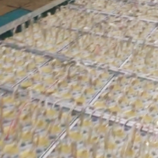 案例展示